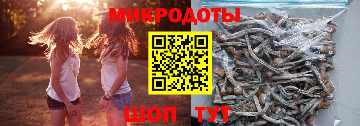 Псилоцибиновые грибы Psilocybine cubensis  Вход с VPN  дарнет шоп  Советская Гавань 